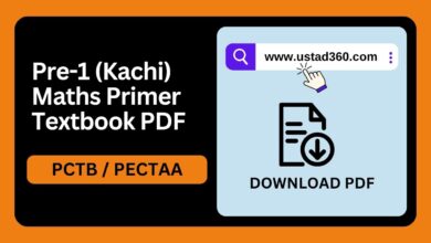 Pre-1 (Kachi) Maths Primer textbook PDF by PCTB / PECTAA