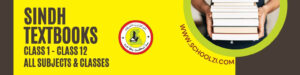SINDH TEXT BOOK MATHEMATICS FOR CLASS 8 visual data 6