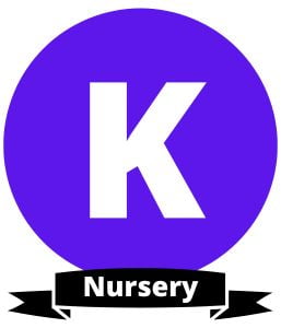 Nursery Class Punjab Text Books PDF