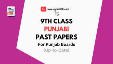Matric 9th Class Punjabi Past Papers PDF for all Punjab Boards