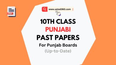 Download Matric 10th Class Punjabi Past Papers PDF