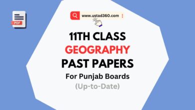 11th Class / 1st Year Geography Past Papers for All Punjab Boards