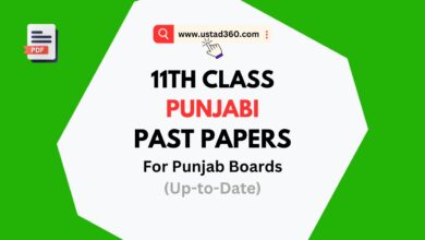 1st Year / 11th Class Punjabi Past Papers PDF Download