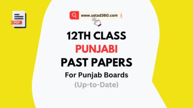 2nd Year Punjabi Past Papers PDF for all Punjab Boards